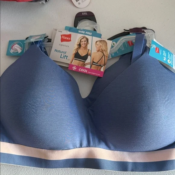 Hanes Women's Natural Lift Wire-Free Bra in Blue - Picture 1 of 2